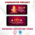 wedding invitation video